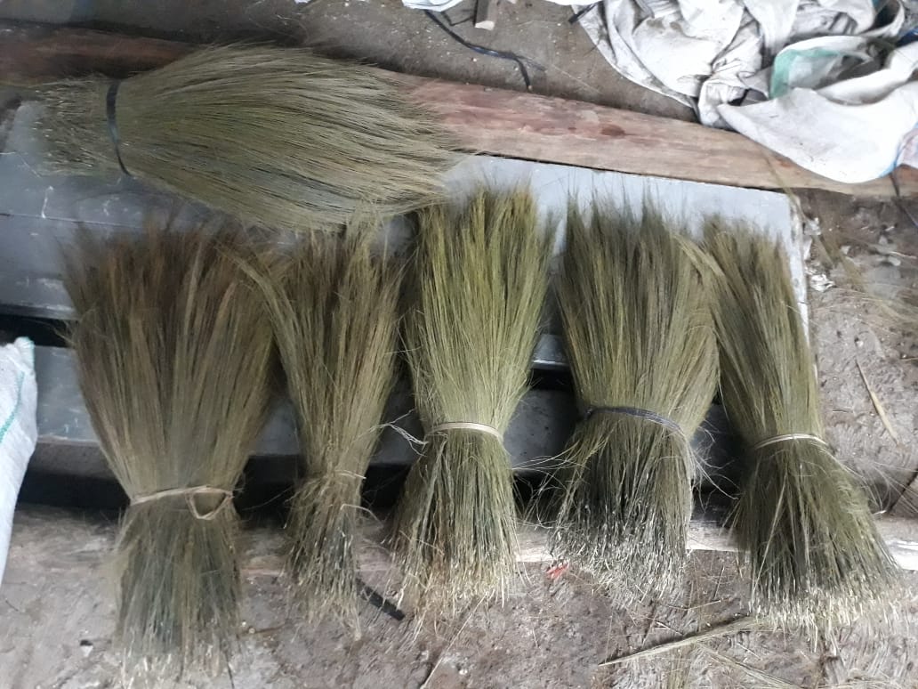Indonesian Grassbroom