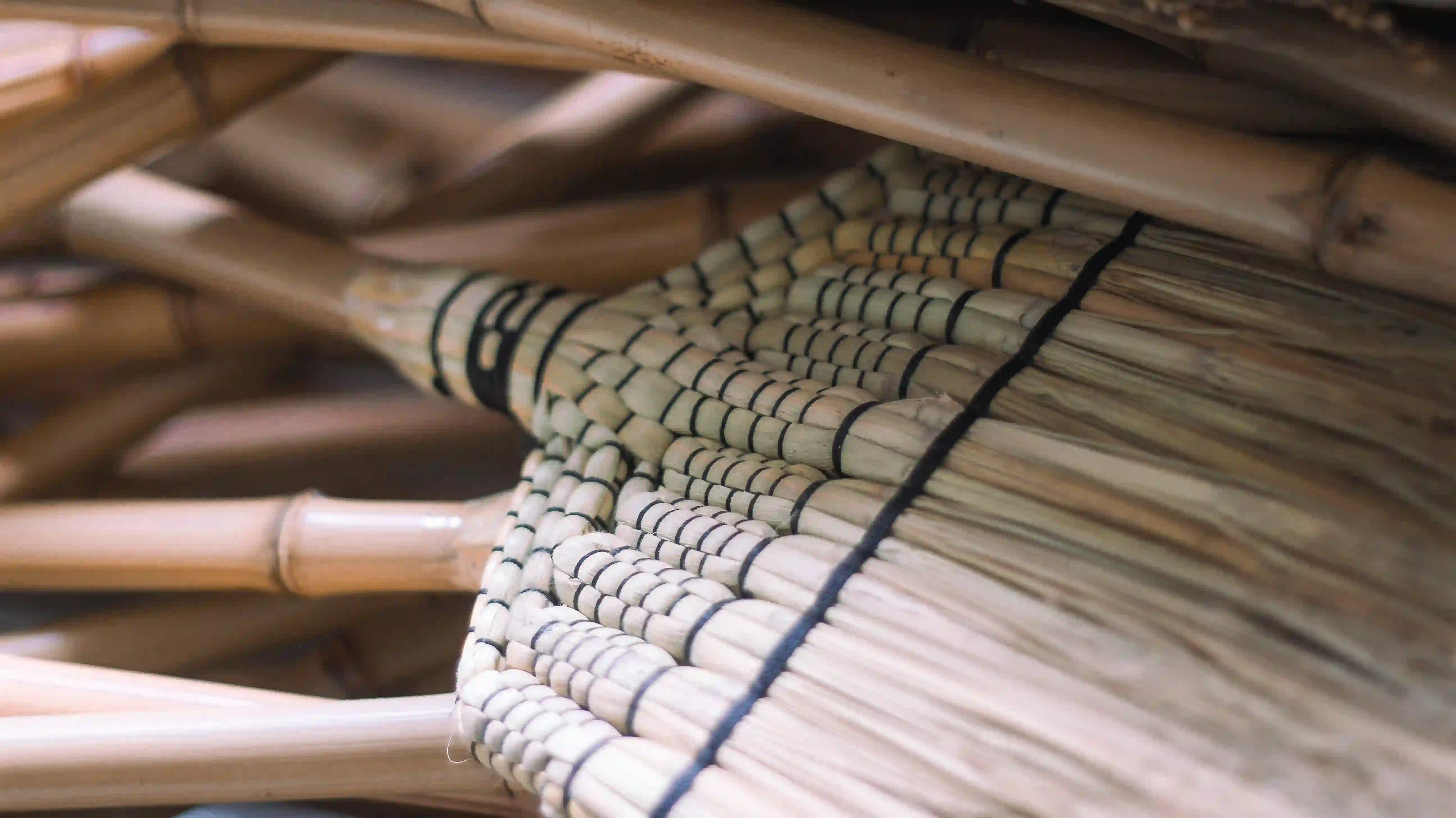 Indonesian Grassbroom